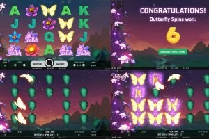 butterfly-staxx-free-spins