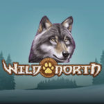 Wild North Logo