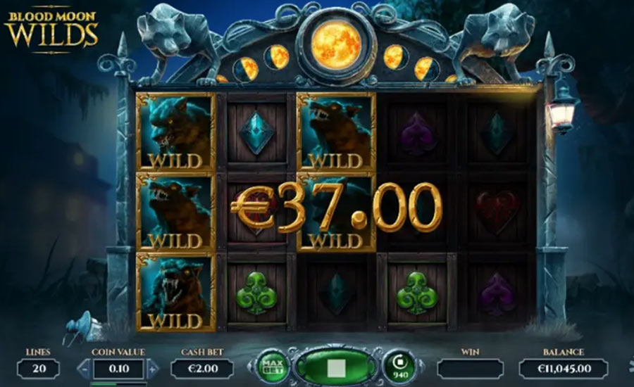Blood Moon Wilds