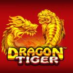 Dragon Tiger Logo