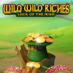 Wild Wild Riches Logo