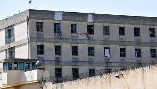 κορυδαλος φυλακες